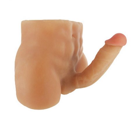 Modelo Pene vertebrado y ano